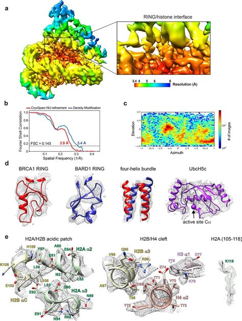 Cryo EM Validation And Example Density A Local Resolution Estimate