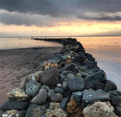 Loko Ia — Sea Gardens Across The Pacific