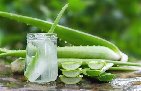 Top 12 Best Aloe Vera Face Pack For Skin Whitening and Fairness