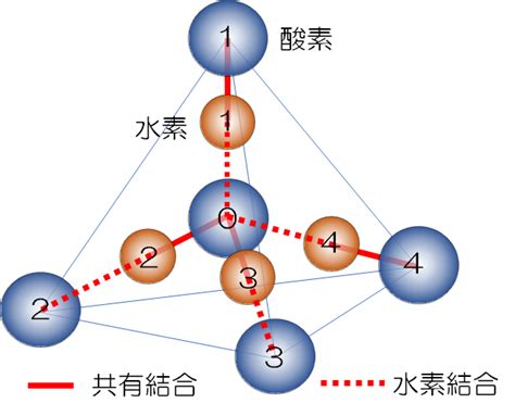 水の基本性質 水浄化フォーラム －科学と技術－