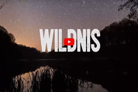 Videos - Wildnis in Deutschland