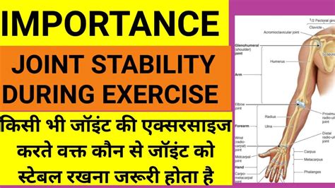 Importance Of Joint Stability During Exercise Physiotherapy Movement