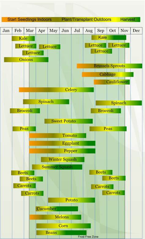 Zone 8b Gardening Calendar - Garden Design Ideas