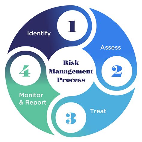 Step Risk Management Process Migso Pcubed