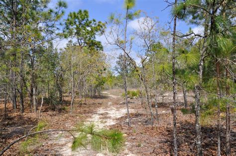 Annutteliga Hammock Tract 4 TotalCommercial