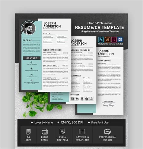 30 Best Web And Graphic Designer Resume Cv Templates Examples For 2022 Graphic Design Resume