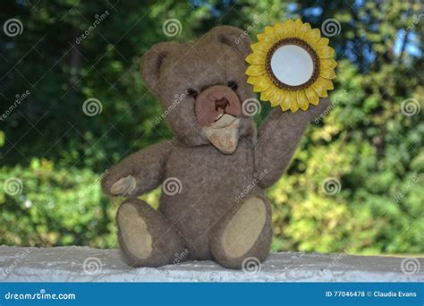 Oso De Peluche Con El Marco Del Girasol Foto De Archivo Imagen De