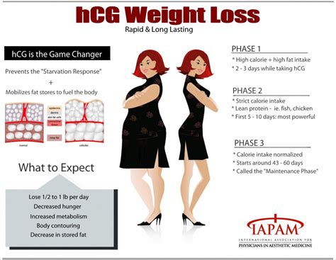 INFOGRAPH: STAGES OF WEIGHT LOSS WITH HCG - MCKENNA FAMILY CHIROPACTIC