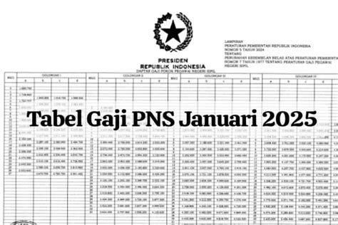 Kembali Dicairkan Januari 2025 Ini Tabel Gaji PNS Yang Akan Ditransfer