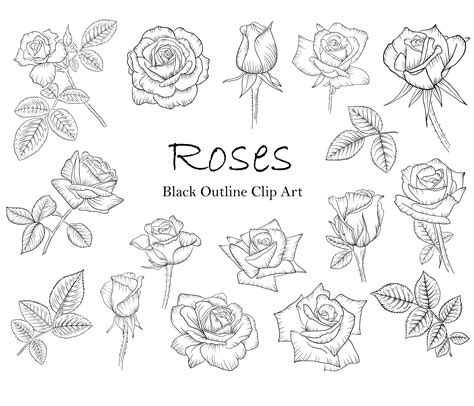 Rose Clip Art Outline