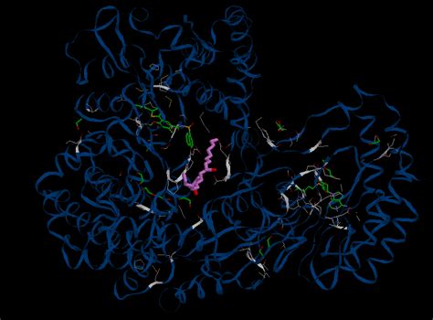 A Close Up View Of Binding Mode Of Compound B With Ns Protein