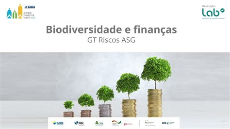 Wiw Agenda Lab Biodiversidade E Finan As Youtube