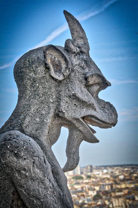 Chimera From Notre Dame Photo Taken From The Gallery Of Ch Flickr