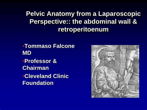 Pdf Pelvic Anatomy From A Laparoscopic Perspective The · Pelvic