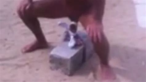 Free Tough Porn Videos XHamster