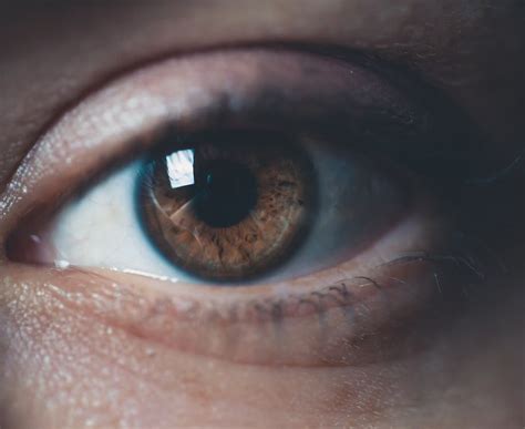 Extreme Close-up of Woman Eye · Free Stock Photo