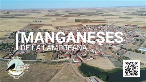 Manganeses De La Lampreana Youtube