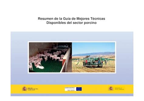 PDF Resumen de la Guía de Mejores Técnicas Disponibles del