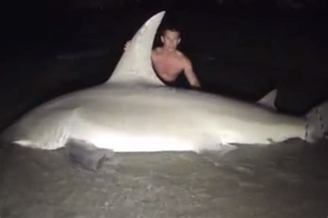 Video Fishermen Catch Hammerhead Shark Measuring 14ft On Florida Beach