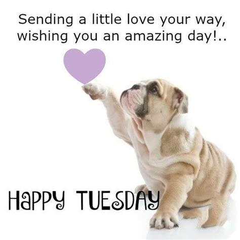 Have A Beautiful Tuesday Happy Tuesday Quotes Tuesday Quotes Good