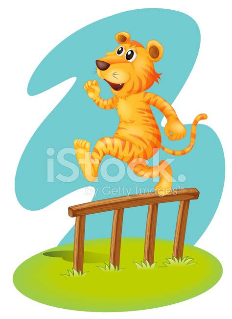 Brave Tiger Jumping Over The Wooden Fence Stock Photo | Royalty-Free | FreeImages