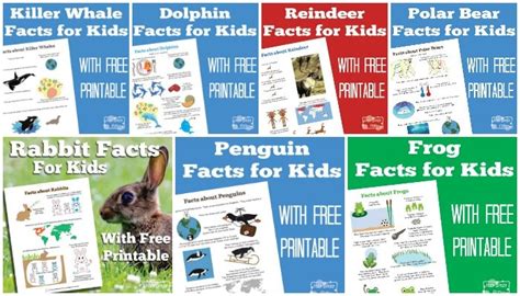 Fun Facts for Kids - free learning printables - Itsy Bitsy Fun