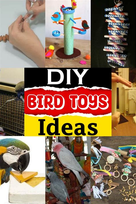 25 DIY Bird Toys Ideas For Your Pet's Fun - DIYnCrafty