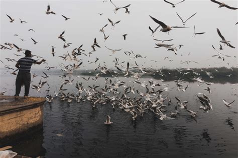 Exploring Old Delhi - Yamuna Ghat on Behance