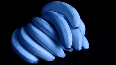 Globale Erwärmung Werden Unsere Bananen Jetzt Blau