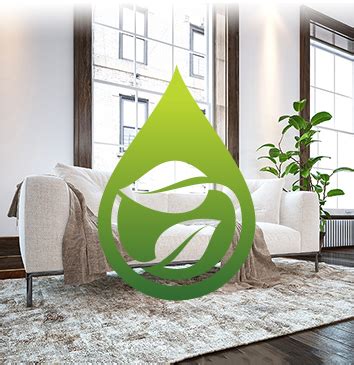 Eco Friendly Rug Cleaning NYC Rug Care Restoration New York NY