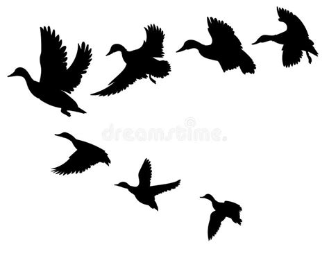 Feather And Birds Black And White Vector Illustration Of Stylized