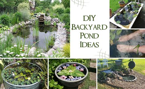 Diy Garden Pond Ideas For Making Outdoor More Aesthetic In Budget