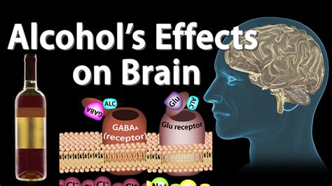 Effects Of Alcohol On The Brain Animation Professional Version Youtube