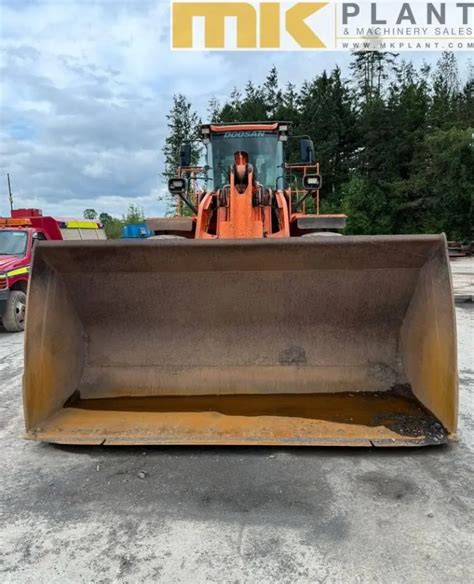 Digger Bidder Doosan Dl Wheeled Loader