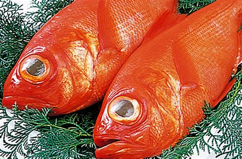 日本一の金目鯛 伊豆下田・渡邊水産｜日本一の金目鯛と前浜で揚がる旬の地魚をお届けします。