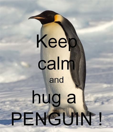 Hug a Penguin! | Penguins, Emperor penguin, Penquins