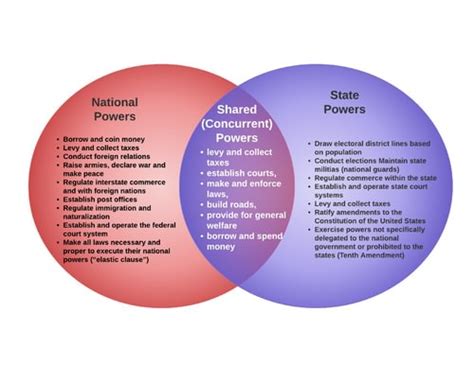 Georgia Legislative Branch Vs Federal Venn Diagram Branches