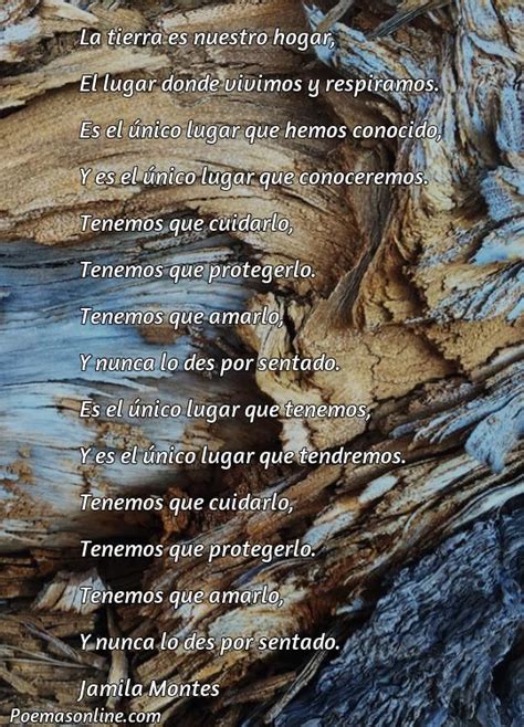 Cinco Poemas Sobre La Tierra Y Medio Ambiente Poemas Online