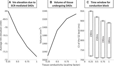 Subthreshold Delayed Afterdepolarizations Provide An Important