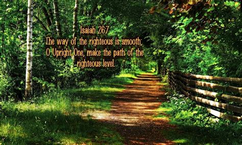 Make The Path Forest Paths Bible Verses Jesus Scriptures Path