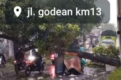 Tragedi Di Jalan Godean Km Pemotor Tewas Usai Menabrak Pohon