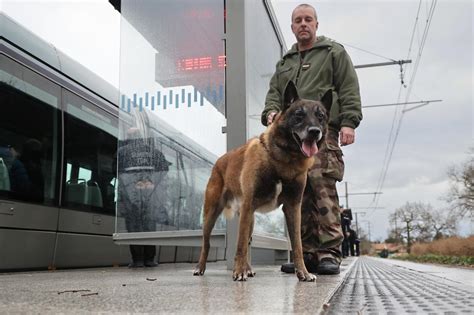 Trafic De Drogue Plus De Personnes Arr T Es Et Deux Tonnes