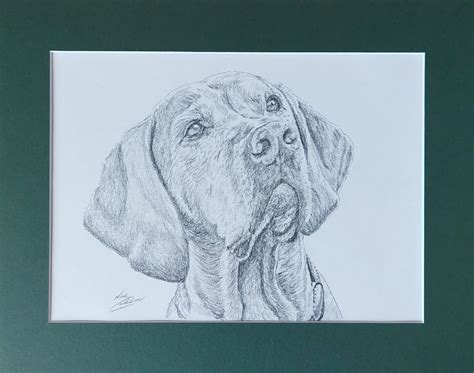 Dog Tribute Portrait Nick Paints Surrey Based Artist