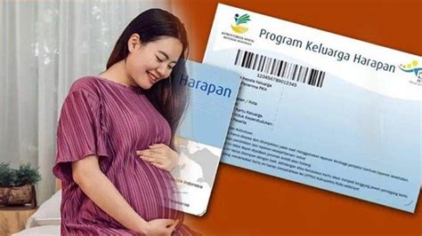 Bansos Pkh Cair Segini Besaran Bantuan Sesuai Kategori Ibu Hamil