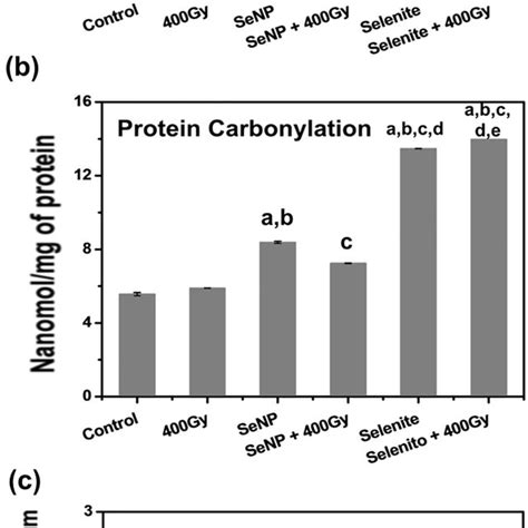 Oxidative Stress Parameters A Lipid Peroxidation B Protein