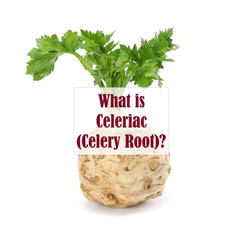 What Is Celeriac? - Helen's Fuss Free Flavours