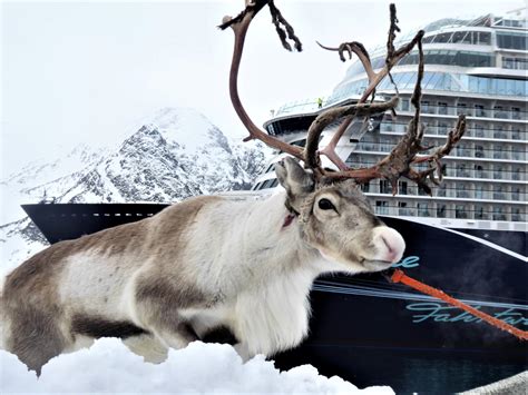 Mein Schiff Winterreisen Seereisen Service Schack