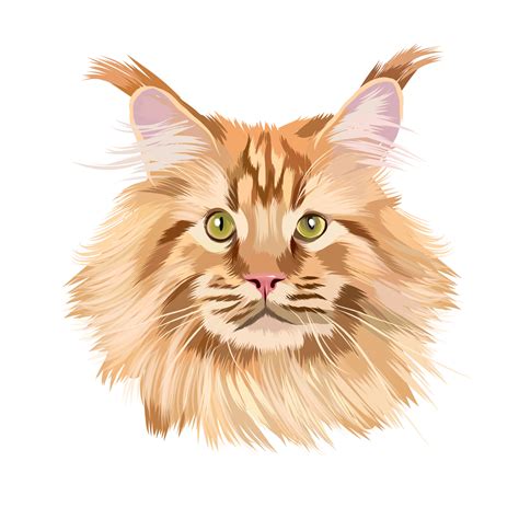 Head Portrait Of A Beautiful Red Maine Coon From Multicolored Paints