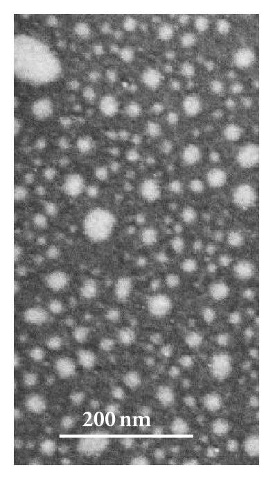 A Plan View SEM Image Of A Sample Deposited With 2 Nm Thick Au Layer