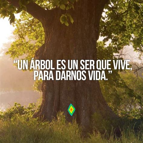 Pin En Frases Frases Ecologicas Frases Naturaleza Frases Ambientales